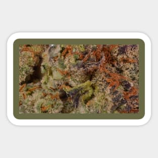 Strawberry C.R.E.A.M. Macro - Weed Design Sticker